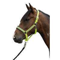 new Amarillo fluorescente new Amarillo fluorescente