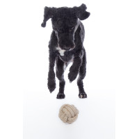 Juguete para perro Buddy Knot Ball HKM Natural Marrón Juguete para perro Buddy Knot Ball HKM Natural Marrón