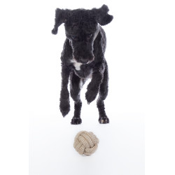 Juguete para perro Buddy Knot Ball HKM Juguete para perro Buddy Knot Ball HKM