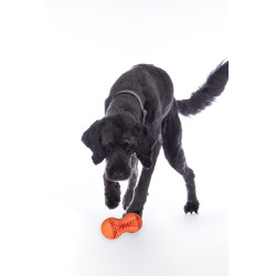 Juguete para perro Buddy Bone II caucho natural. HKM Juguete para perro Buddy Bone II caucho natural. HKM