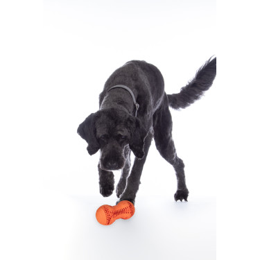 Juguete para perro Buddy Bone II caucho natural. HKM Juguete para perro Buddy Bone II caucho natural. HKM