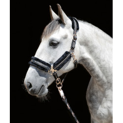 new Negro / oro rosa