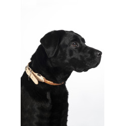 Collar de perro Anam Cara cuerda HKM Brandy Marrón