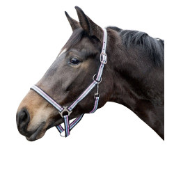 Cabezada Linz HKM Marrón / gris / rosa / azul