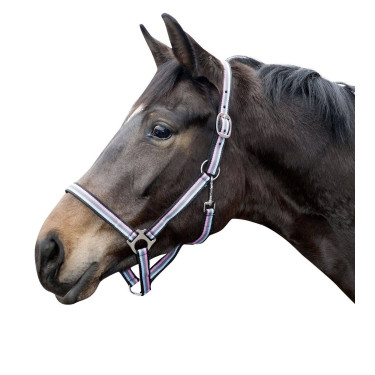 Cabezada Linz HKM Marrón / gris / rosa / azul