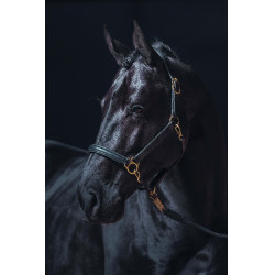 Cabezada de cuero Gold HKM Negro Cabezada de cuero Gold HKM Negro