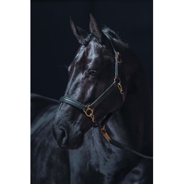 Cabezada de cuero Gold HKM Negro Cabezada de cuero Gold HKM Negro