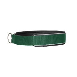 Collar para perro Charlie Back on Track