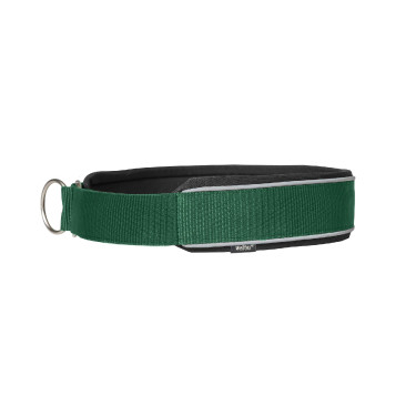Collar para perro Charlie Back on Track