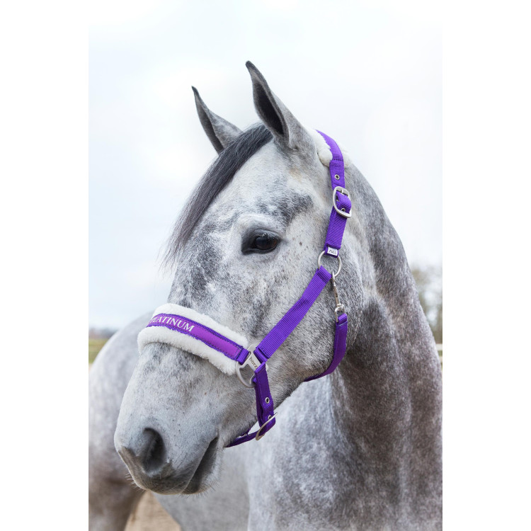 Cabezada Howard Crescendo Horze Cabezada Howard Crescendo Horze
