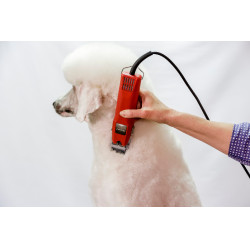 Cortadora Favorita Speed Aesculap Roja Rojo Cortadora Favorita Speed Aesculap Roja Rojo