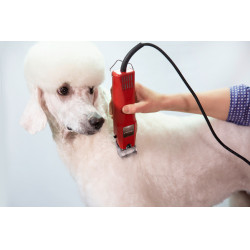 Cortadora Favorita Speed Aesculap Roja Rojo Cortadora Favorita Speed Aesculap Roja Rojo