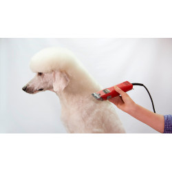 Cortadora Favorita Speed Aesculap Roja Rojo Cortadora Favorita Speed Aesculap Roja Rojo