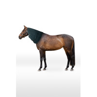 Cubrecuellos para manta de cuadra Glasgow pony Hoze Verde agua oscuro