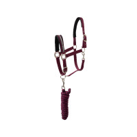 Conjunto de cabezada Horze Eternal Gaze Poción violeta