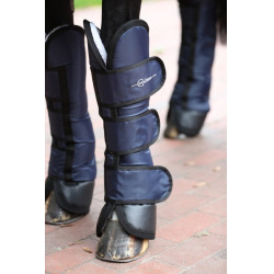 Guarniciones de transporte Dexter Covalliero Azul oscuro