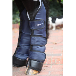 Guarniciones de transporte Dexter Covalliero Azul oscuro