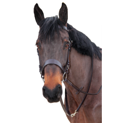 Brida de caza Canter