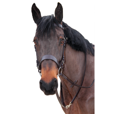 Brida de caza Canter