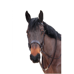 Riendas trenzadas Canter