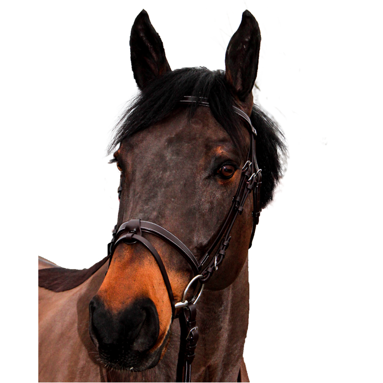 Bridon Canter Club Bridon Canter Club