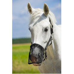 Protector de ollares de malla antimoscas