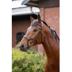 Brida Chio Horze Coñac Marrón
