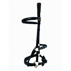Side-pull de cuero T de T