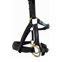 Side-pull de cuero T de T Havana oscuro Marr&amp;amp;amp;oacute;n