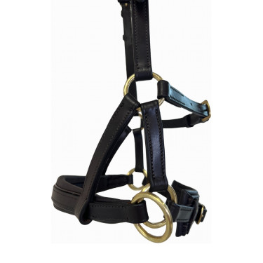 Side-pull de cuero T de T Havana oscuro Marr&amp;amp;amp;oacute;n