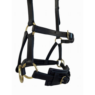 Side-pull de cuero T de T Havana oscuro Marr&amp;amp;amp;oacute;n