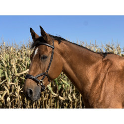 Side-pull de cuero T de T Havana oscuro Marr&amp;amp;amp;oacute;n