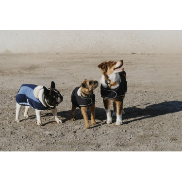 Manta para perro Equithème New Market Manta para perro Equithème New Market