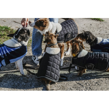 Manta para perro Equithème New Market Manta para perro Equithème New Market