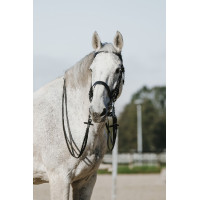 Novia Montando Mundo Negro