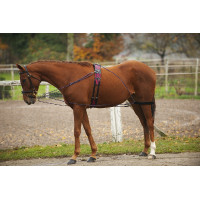 Chambón con poleas Norton