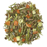 FASER LIGHT FASER LIGHT