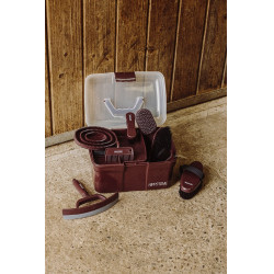 Cepillo para la cabeza HIPPOTONIC - Glitter
