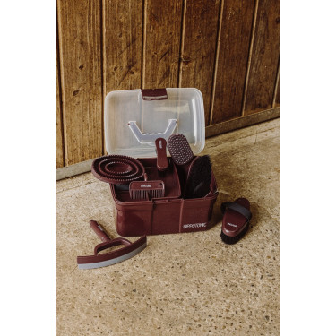 Cepillo para la cabeza HIPPOTONIC - Glitter
