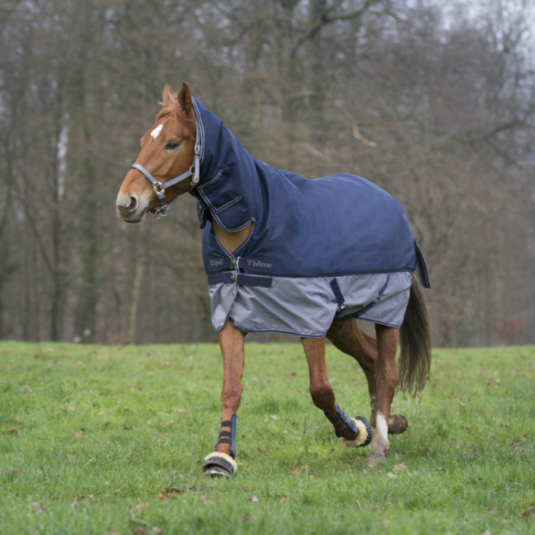 Manta Equi-Theme Tyrex 600 D Combo Manta Equi-Theme Tyrex 600 D Combo