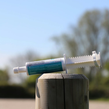 Alimentación complementaria LPC Muscle Eze Flash Alimentación complementaria LPC Muscle Eze Flash