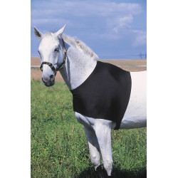 Protección de espaldas Equi-Theme Protección de espaldas Equi-Theme