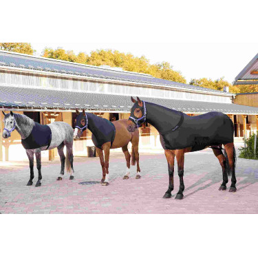 Protección de espaldas Equi-Theme Protección de espaldas Equi-Theme