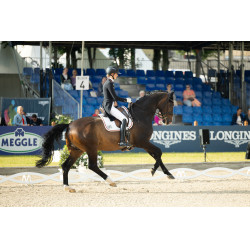 new Blanco new Blanco