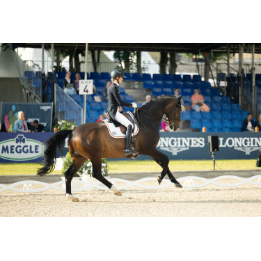 Pantalón Pikeur Laure full grip mujer Pantalón Pikeur Laure full grip mujer
