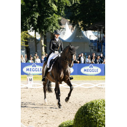 new Blanco new Blanco