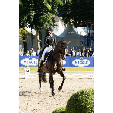Pantalón Pikeur Laure full grip mujer Pantalón Pikeur Laure full grip mujer