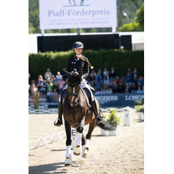 new Blanco new Blanco