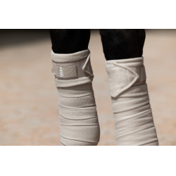 Bandas de polo Eskadron Paloma Violeta