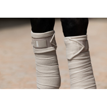 Bandas de polo Eskadron Paloma Violeta